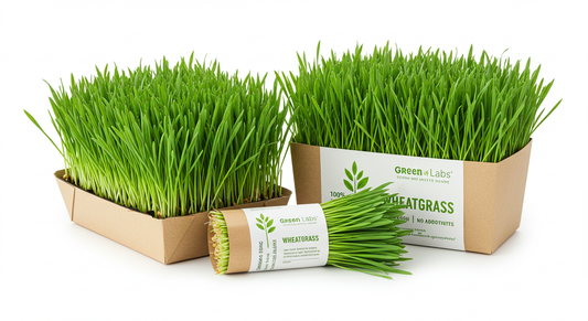Fresh Whole Wheatgrass