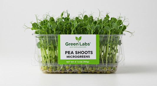 Fresh Pea Shoots Microgreens